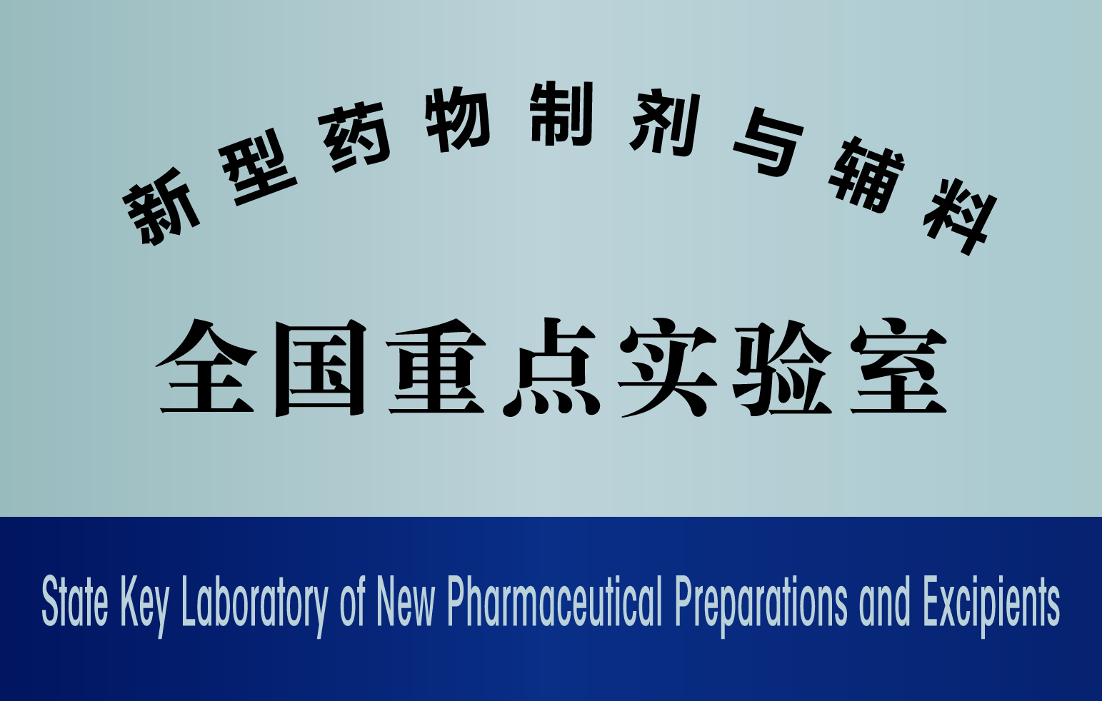 1.新型药物制剂与辅料全国重点实验室.jpg