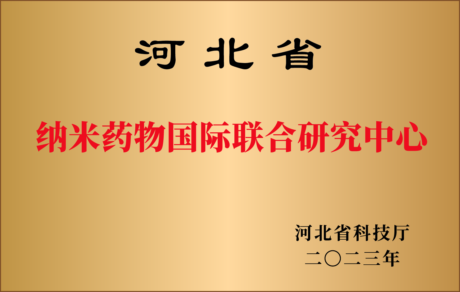 9.河北省纳米药物国际联合研究中心.jpg